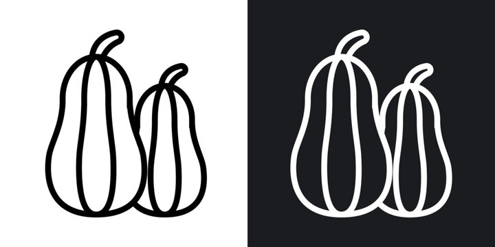 Butternut squash outlined icon vector collection.