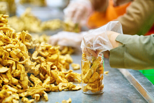 Vietnamese female worker in gloves sort fresh dried tropical fruit products on a production table for further packaging into containers.
