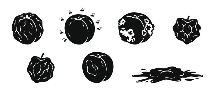 Rotten Peach Icons Set - Black Silhouette Collection of Spoiled Fruit, Moldy Peaches, Flies, Decay, Waste and Food Decomposition Elements for Agriculture, Health, and Safety Infographics Design Concep