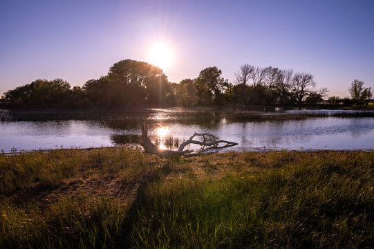 Beautiful sunset over a calm lake in Huesca, Spain, with a fallen tree trunk in the foreground and golden reflections on the water, rural Aragon landscape.
