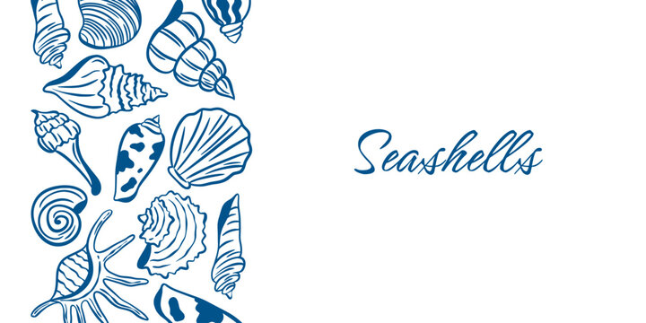 Horizontal template with hand-drawn shells and mollusks and copy space. Template themed around the sea, ocean, coastal, recreation, tourism, and seafood. Banner with border. Vector graphic