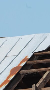 A powerful hydraulic demolition shear attached to an excavator tears through a metal and wood roof structure during a building teardown process.