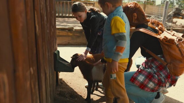 Mother and children petting a small goat at a petting zoo