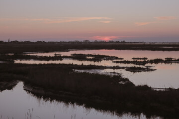 Naklejka premium View of salt marshes in the Venetian lagoon, Italy, wild landscape with tidal waterways at sunset