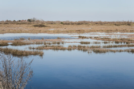 View of salt marshes in the Venetian lagoon, Italy, wild landscape with tidal waterways