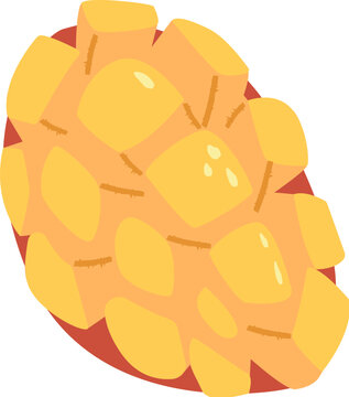 Mango cut in square pieces on the skin