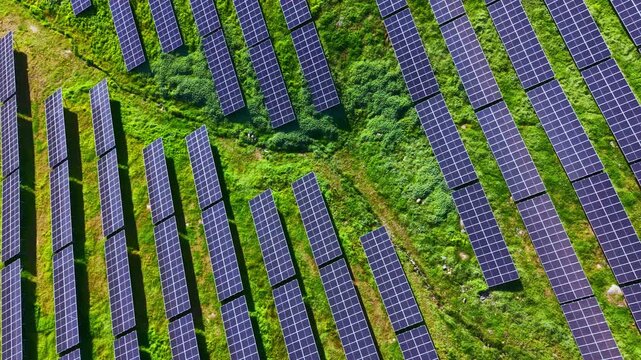 Rows of solar panels stretch across a green field under clear skies. This site focuses on harnessing renewable energy from the sun for local power needs.