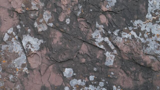 Handheld static close-up shot of a weathered ancient stone covered in lichen at the Salbyk Kurgan. The rough texture, cracks, and natural patterns of the megalithic rock surface are clearly visible.