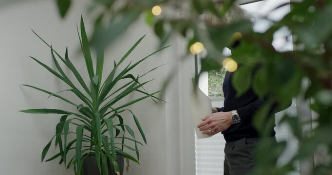 Man watering green potted yucca plant with white watering can in bright modern living room