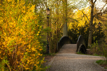Park w Pszczynie wiosną o poranku, ciepłe światło słoneczne i świeża zieleń © Elżbieta Kaps