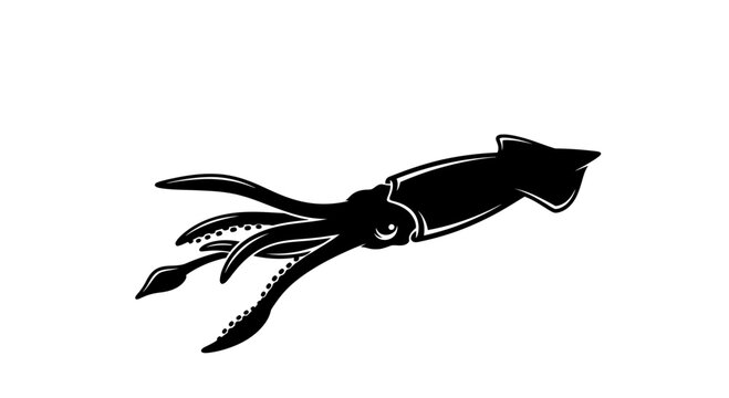 Black silhouette of a squid with tentacles spread, isolated on white background.