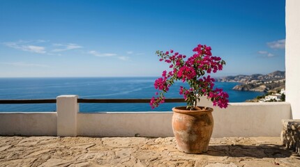 Obraz premium Potted Pink Flowers on Terrace Overlooking Ocean