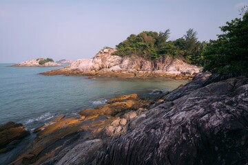 Fototapeta premium 豊かな緑と穏やかな水のある岩だらけの海岸線