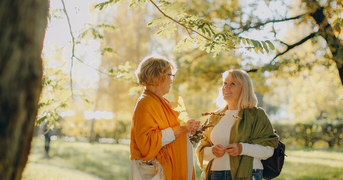 Senior women enjoying friendship and conversation in autumn park