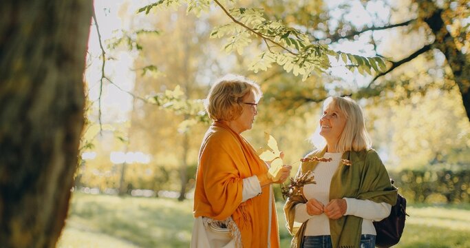 Senior women talking in autumn park enjoying conversation