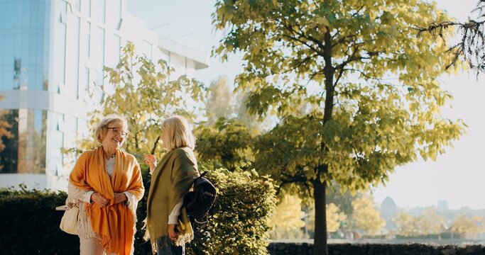 Senior women friends talking laughing outdoors