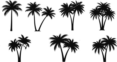 Obraz premium Set of black tropical palm tree silhouettes for summer beach designs, isolated on a white background vector graphic art illustration.