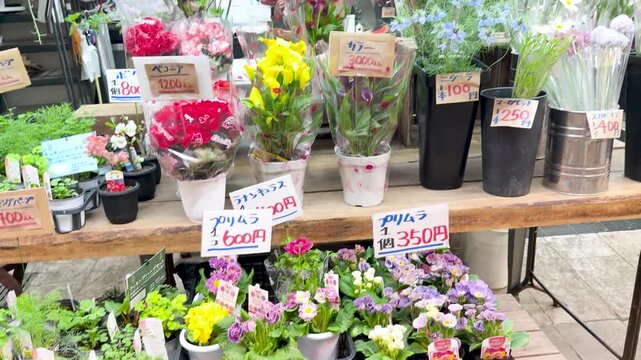 A vibrant outdoor flower market in Japan showcases a wide variety of colorful plants and fresh cut flowers for sale on display.