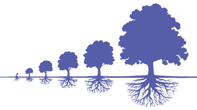 Growth Sequence of Trees: A visual narrative of growth and resilience, as a tree evolves through distinct stages, showcasing the beauty of transformation and the strength of interconnectedness.