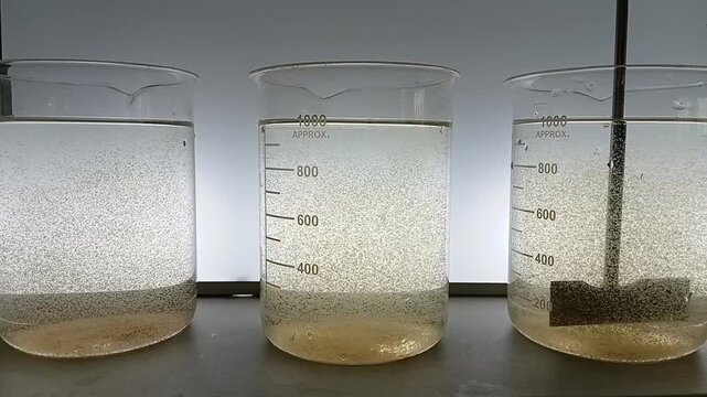 Jar Test Sequence: Technician Lifting Mechanical Agitators from Beakers After Flocculation