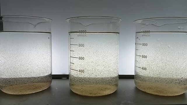 Jar Test Sequence: Close Up of Sedimentation Phase in Three Jars Clarifying Moderate Turbidity Water