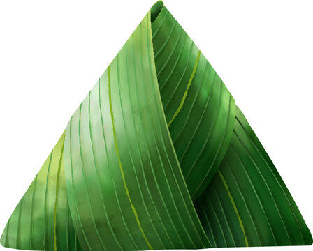 Bamboo leave rice dumpling