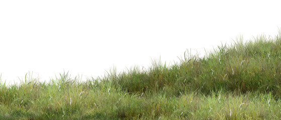 grass isolated on white background/High-resolution image of lush green grass on a gentle hillside, featuring sharp details and natural texture with ample copy space—ideal for nature and background use © Saharattaphum