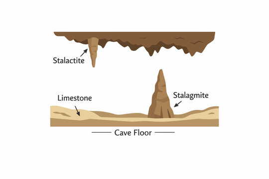 Diagram of stalactites and stalagmites formation in limestone caves