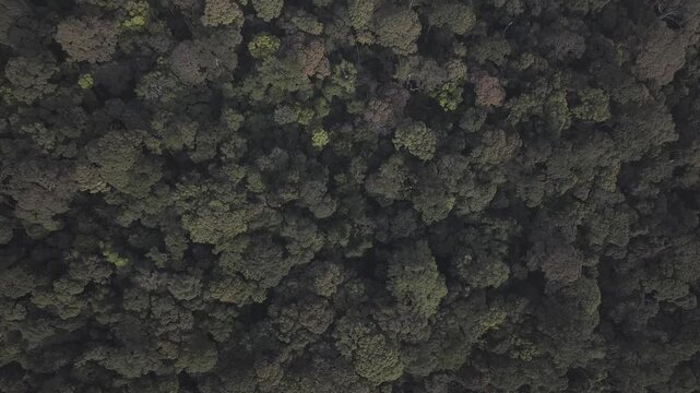 "Bualapa town, Xe Bang Fai Cave, Xieng lue Waterfall within Hin Namno National Park, together with Phong Nha-Ke Bang, are recognized as World Natural Heritage sites." 4k footage