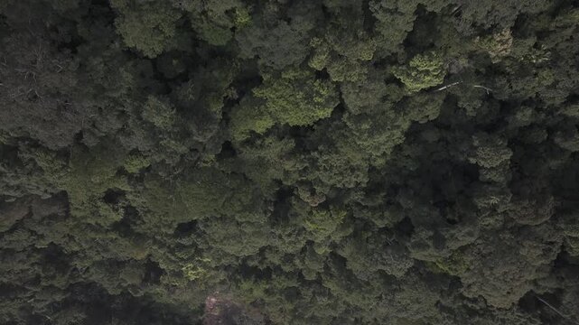 "Bualapa town, Xe Bang Fai Cave, Xieng lue Waterfall within Hin Namno National Park, together with Phong Nha-Ke Bang, are recognized as World Natural Heritage sites." 4k footage