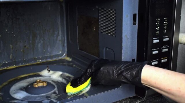 Cropped view of woman hand in gloves cleaning inside of microwave oven with sponge. Person clean messy household appliances interior with grease and food residue. Kitchen cleanup and maintenance.