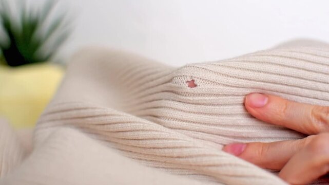 Woman hands holding light beige knitted texture cloth with hole made by moth or ripped, close-up. Tailor holding damaged fabric with loose loops. Clothing repair, craft sewing, textile recycle. 