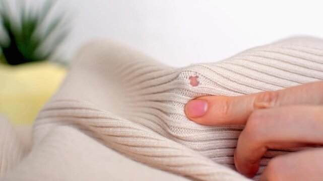 Close up of woman hands holding light beige knitted cloth with hole and loose loops made by moth or ripped. Clothing repair, craft sewing and textile recycle.