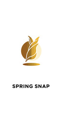 Fototapeta premium Elegant Golden Leaf Design on White Background for Branding.