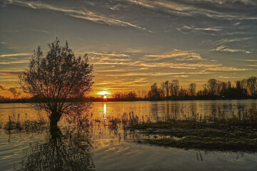 Obraz premium Sonnenuntergang am Rhein