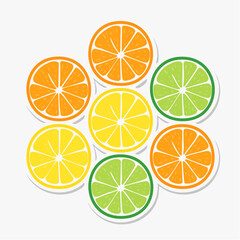 Fototapeta premium Citrus Fruit Slices Arrangement