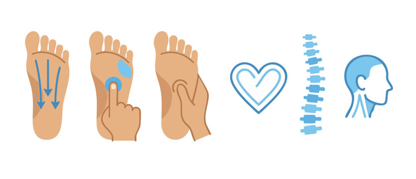 Foot Reflexology Chart Therapy Massage Points Guide showing pressure techniques on the sole, spine alignment, heart health, and head relaxation icons for professional alternative medicine treatment ed