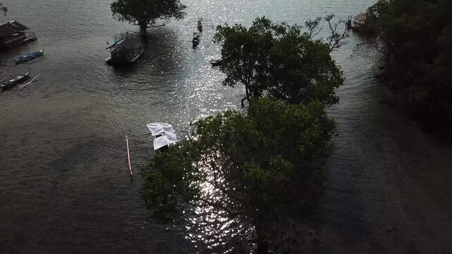 large mangrove forest grows beside the clear sea waters in a small fishing village. Drone, aerial, silhoette