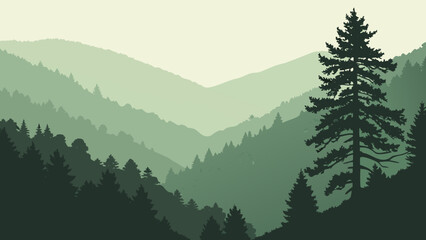 Fototapeta premium Misty mountain range covered in dense pine forest landscape with mountain
