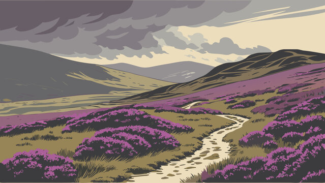 Winding path through purple heather fields in highland landscape with landscape