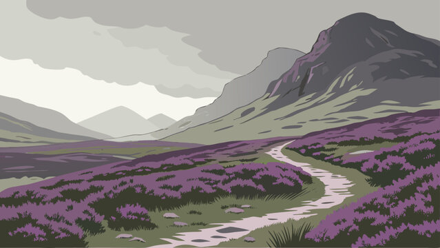 Winding path through purple heather hills under dramatic cloudy skies