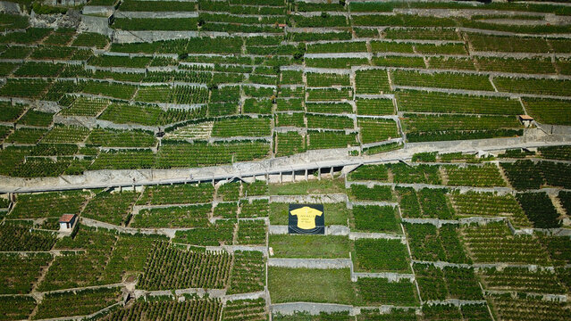 Aerial view of terraced vineyards cascading down the hillsides, interspersed with roads and a singular building, Bourg-en-Lavaux, Vaud, Switzerland.