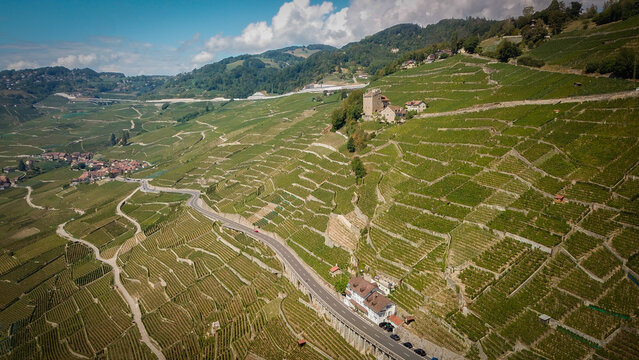 Aerial view of emerald terraced vineyards, a winding grey road, and an ancient stone structure under a vibrant sky, Bourg-en-Lavaux, Vaud, Switzerland.