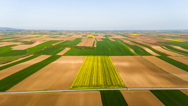 Aerial view of a geometric mosaic of yellow, green, and brown agricultural fields under a clear sky, Sremska Mitrovica, Vojvodina, Serbia.
