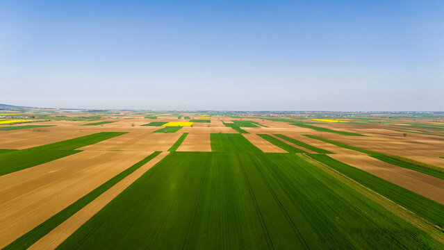Aerial view of a vibrant agricultural landscape, with emerald green and earthy brown fields under a clear sky, Sremska Mitrovica, Serbia.