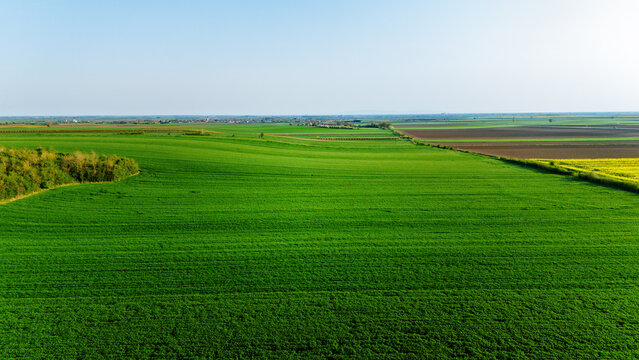 Aerial view of vast, vibrant green fields stretching under a clear blue sky, contrasting with darker cultivated land and a distant tree line, Sremska Mitrovica, Serbia.