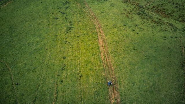 Aerial view of a lone figure traversing winding earthen paths across undulating emerald hills, contrasting with deep green textures, Obudu, Cross River, Nigeria.