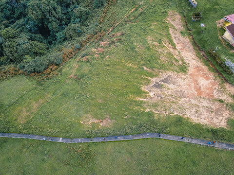 Aerial view of a winding grey pathway contrasting with vibrant green grassy slopes, bordered by dense jungle and hints of reddish earth, Obudu, Cross River, Nigeria.