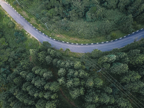Aerial view of a winding asphalt road with sharp white and black markings cutting through a dense canopy of vibrant green trees, Obudu, Cross River, Nigeria.