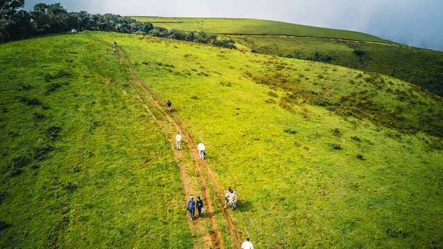 Aerial view of hikers ascending a vibrant green, undulating hillside marked by a winding dirt path under a soft, overcast sky, Obudu, Cross River, Nigeria.